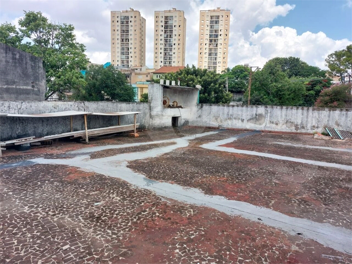 Foto REO1094752
