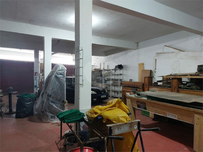 Foto REO1094752
