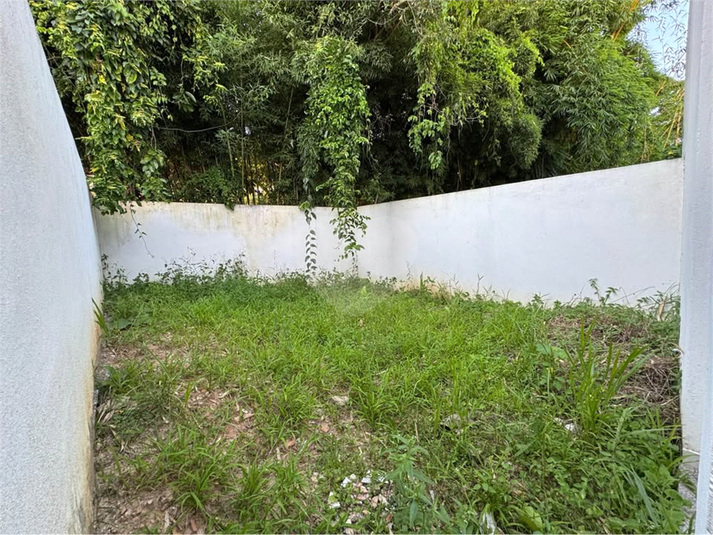 Foto REO1094767