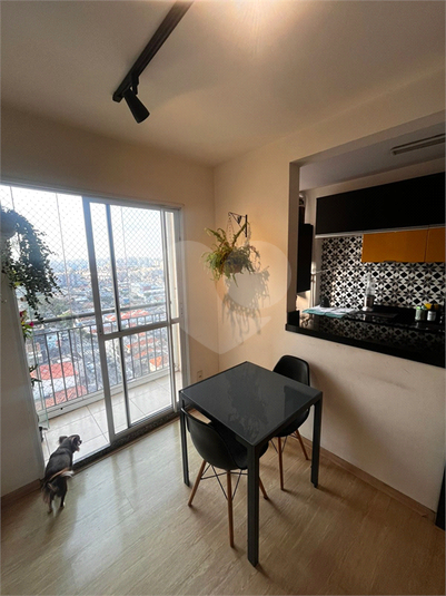 Foto REO1094774