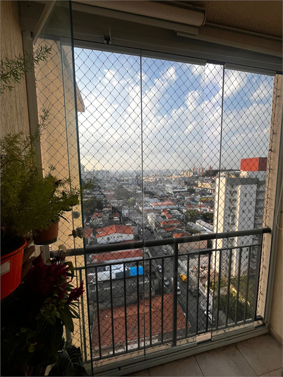 Foto REO1094774