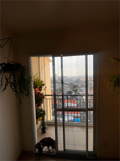 Foto REO1094774