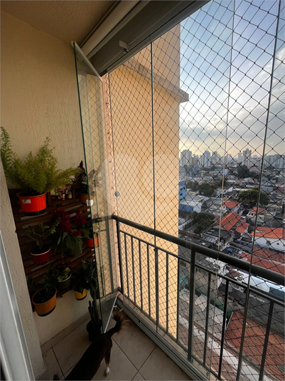 Foto REO1094774