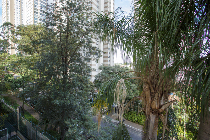 Foto REO1094781