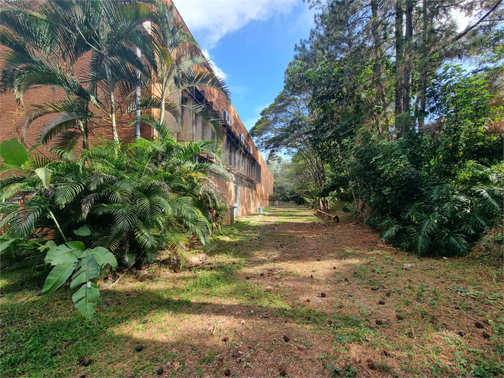 Foto REO1094787