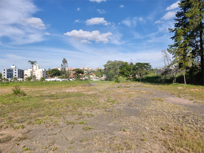 Foto REO1094787