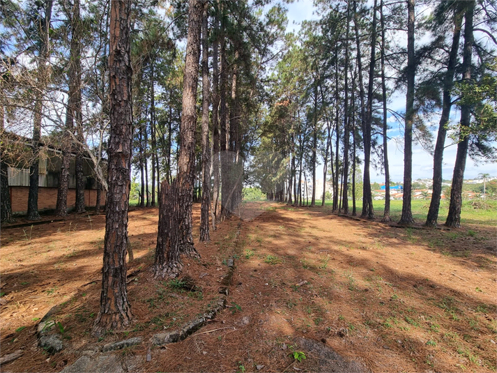 Foto REO1094787