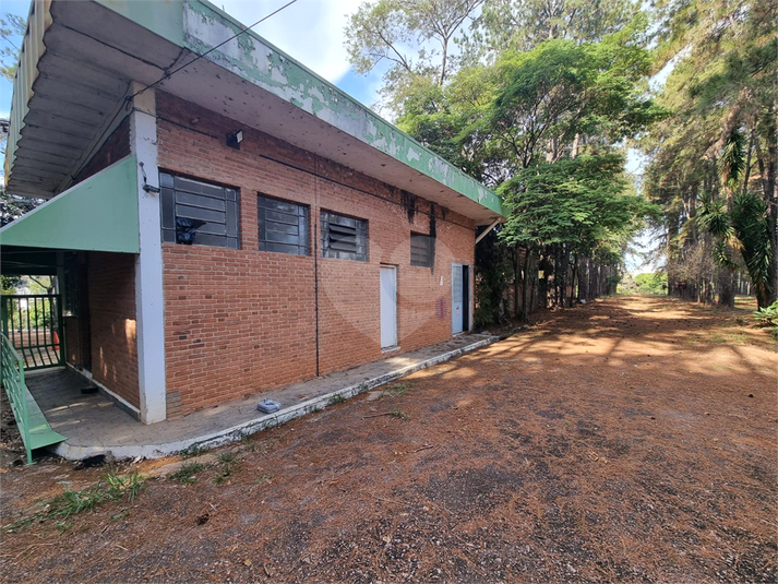 Foto REO1094787