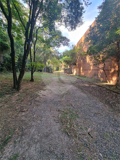 Foto REO1094787