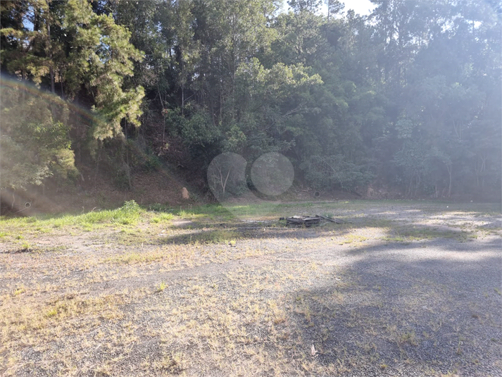 Foto REO1094787