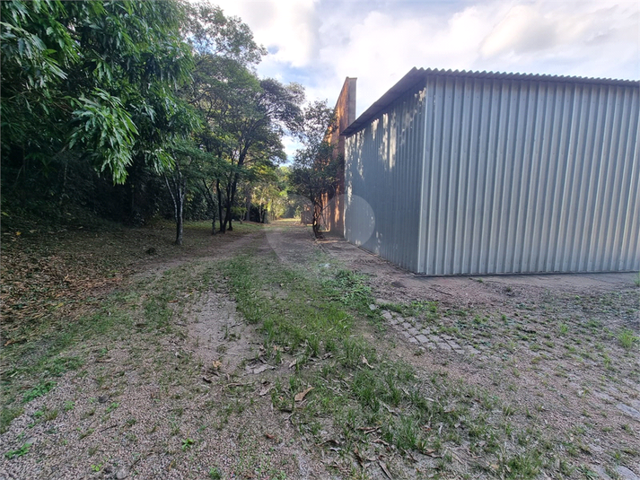 Foto REO1094787