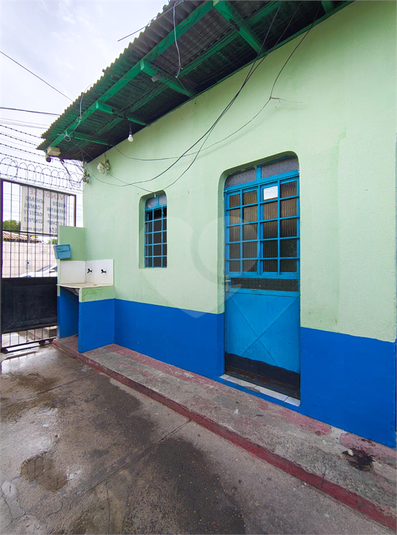 Foto REO1094793