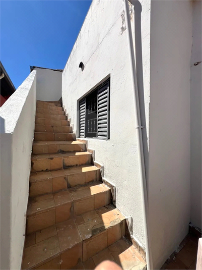 Foto REO1094803