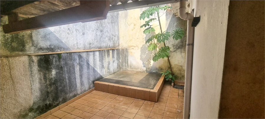 Foto REO1094815
