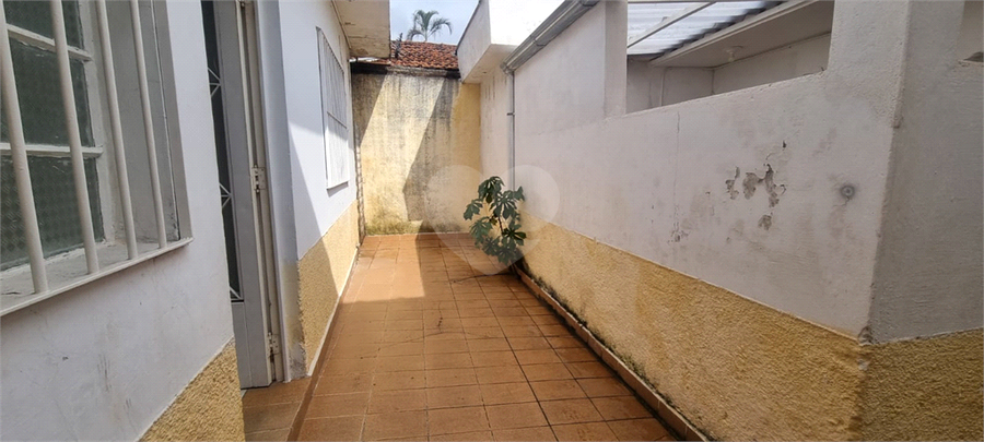 Foto REO1094815