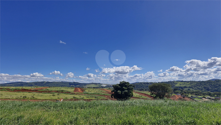 Foto REO1094816