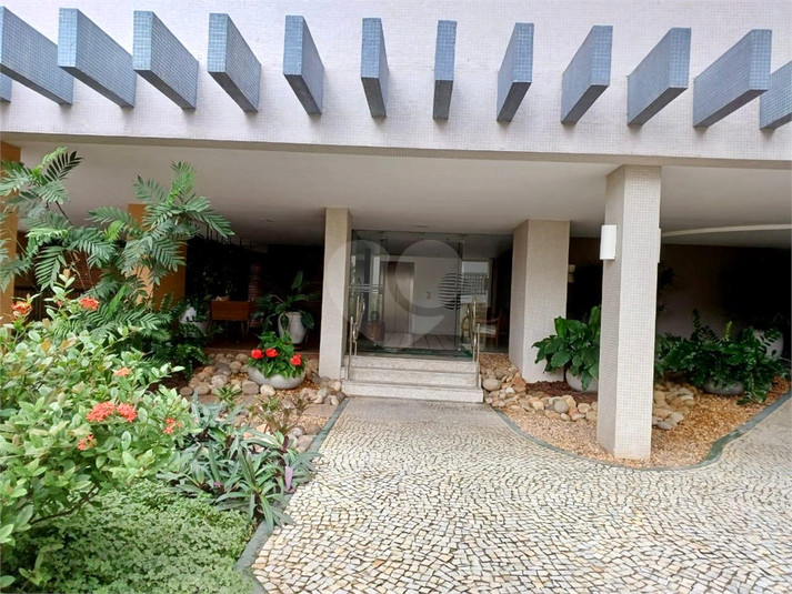 Foto REO1094822