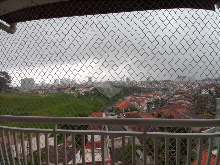 Foto REO1094833