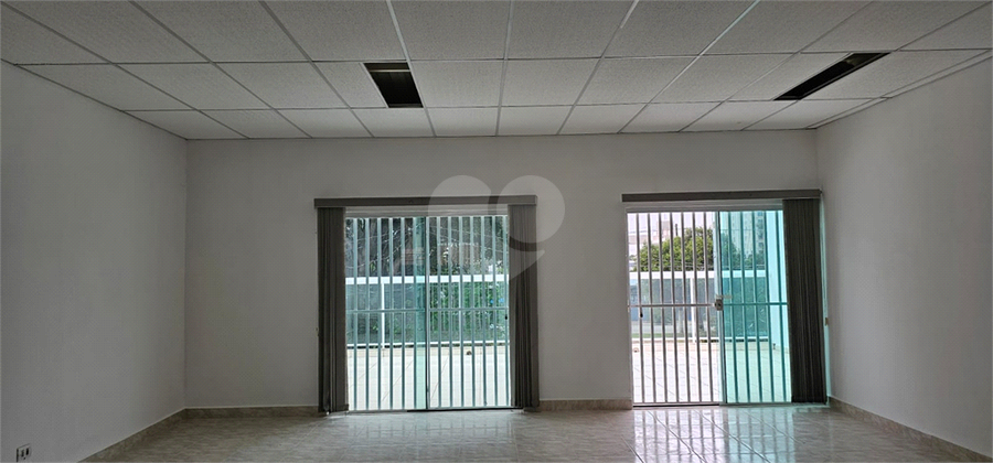 Foto REO1094847