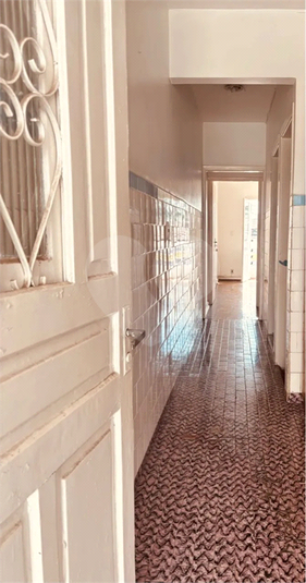 Foto REO1094851