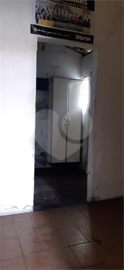Foto REO1094854
