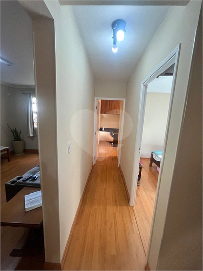Foto REO1094857