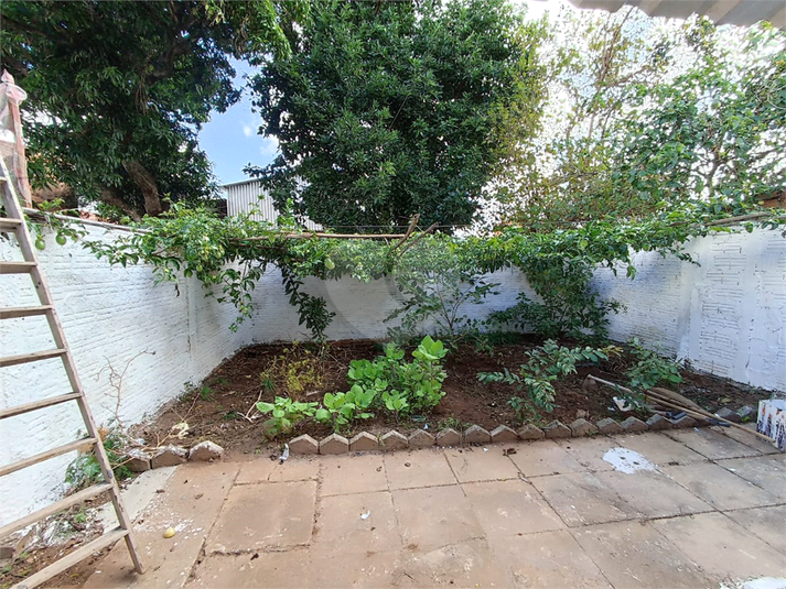 Foto REO1094861