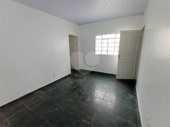 Foto REO1094861