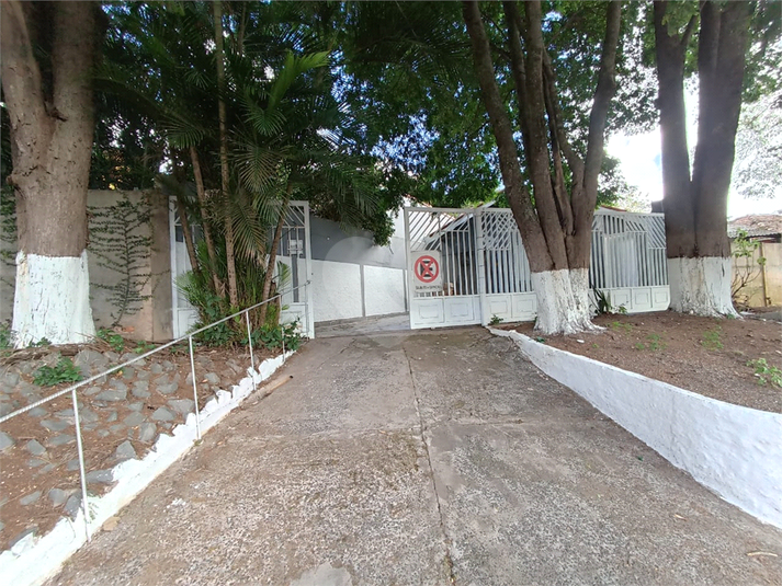 Foto REO1094861