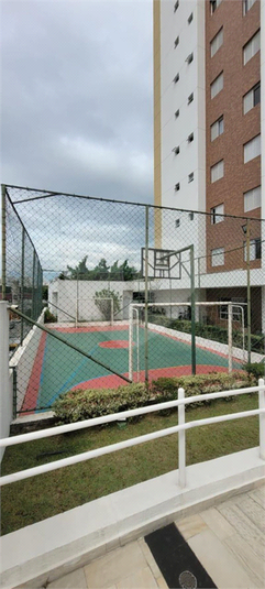 Foto REO1094869
