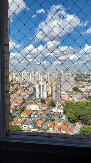 Foto REO1094869
