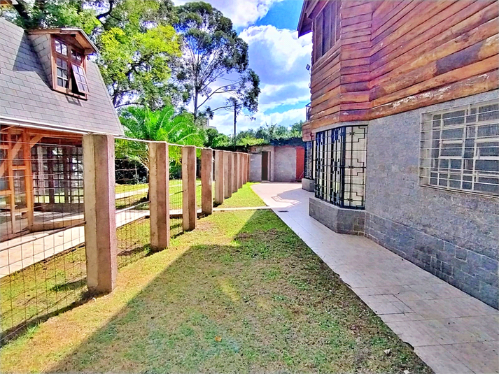 Foto REO1094872