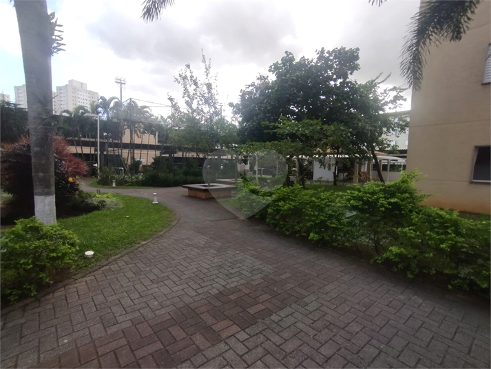 Foto REO1094876