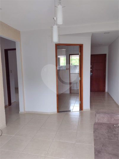 Foto REO1094882