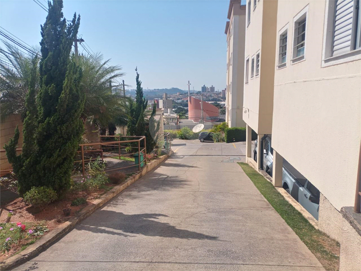 Foto REO1094883