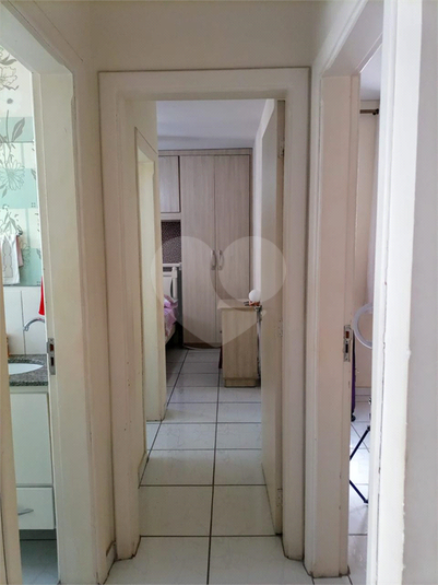 Foto REO1094883