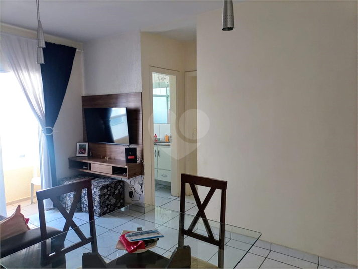 Foto REO1094883