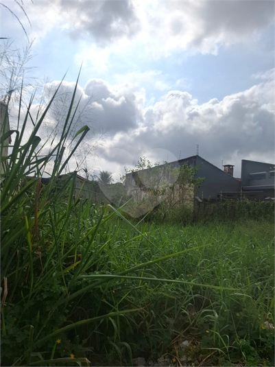 Foto REO1094885