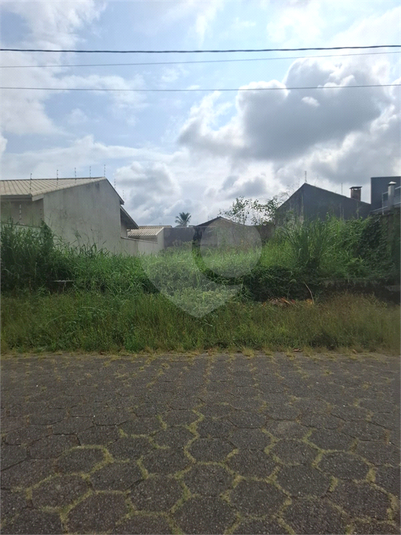 Foto REO1094885