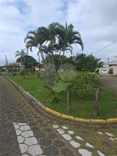 Foto REO1094885