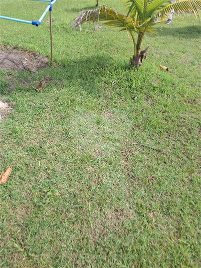 Foto REO1094885