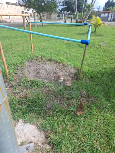 Foto REO1094885