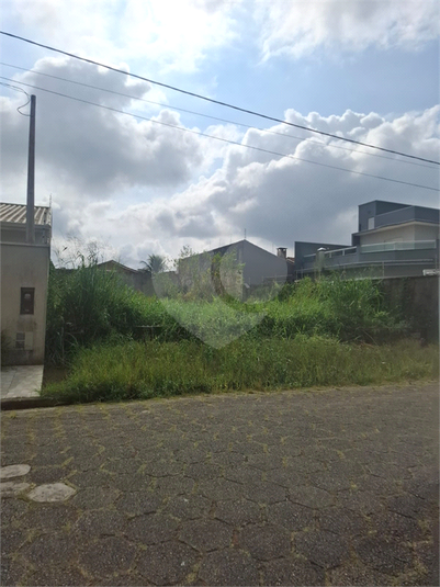 Foto REO1094885
