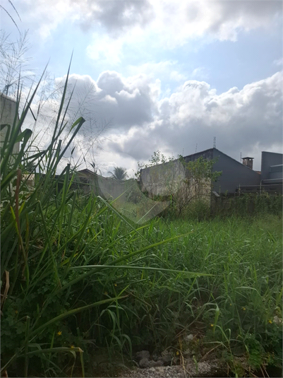 Foto REO1094885