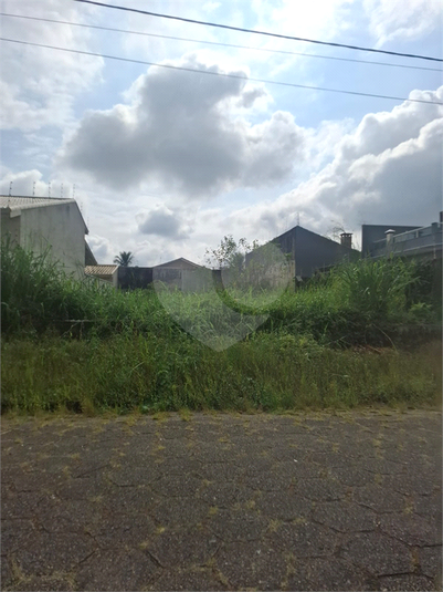 Foto REO1094885
