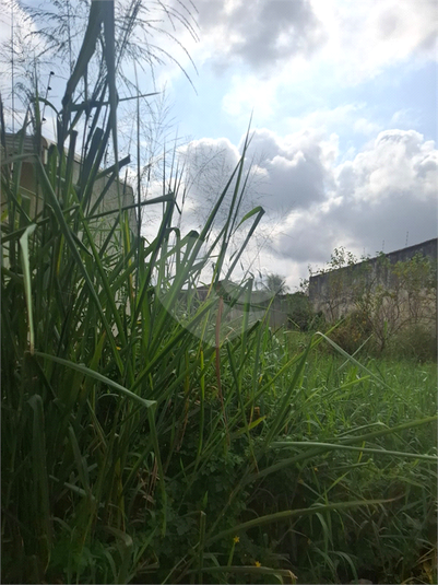 Foto REO1094885