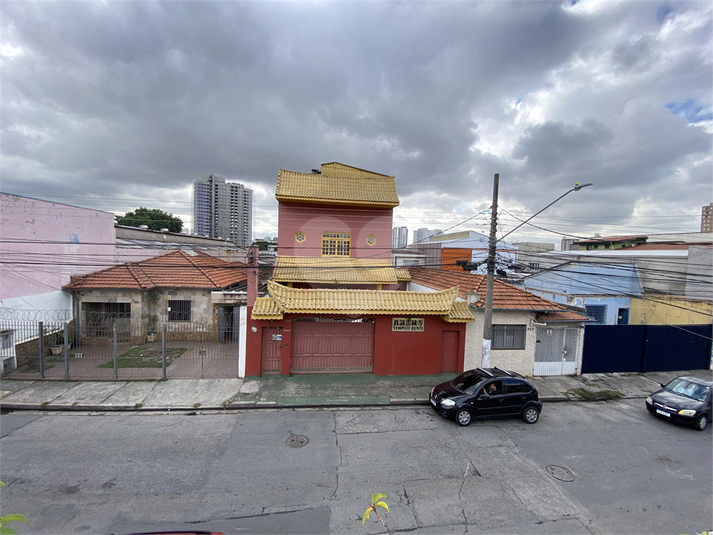 Foto REO1094887
