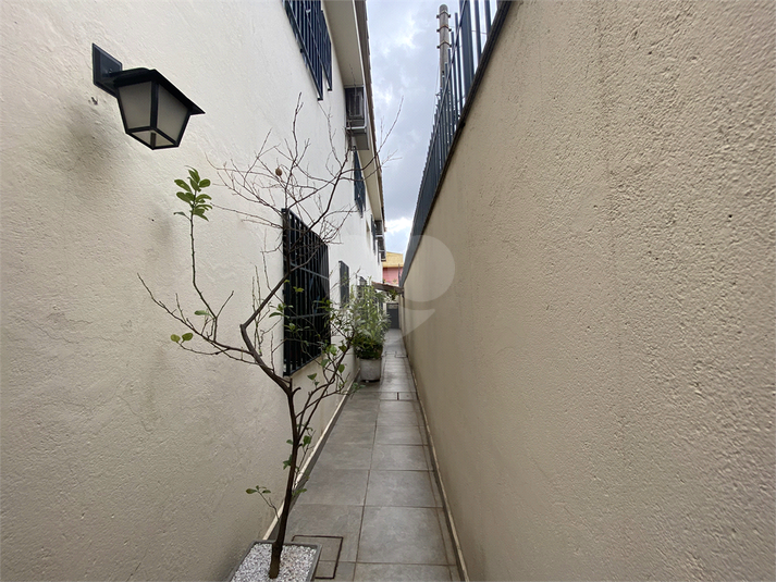 Foto REO1094887