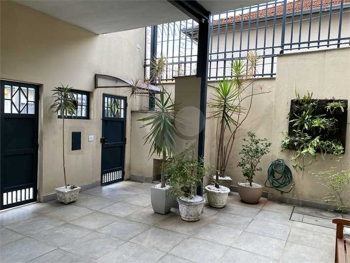 Foto REO1094887