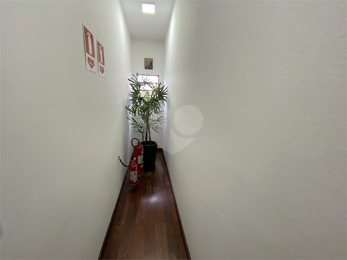 Foto REO1094887